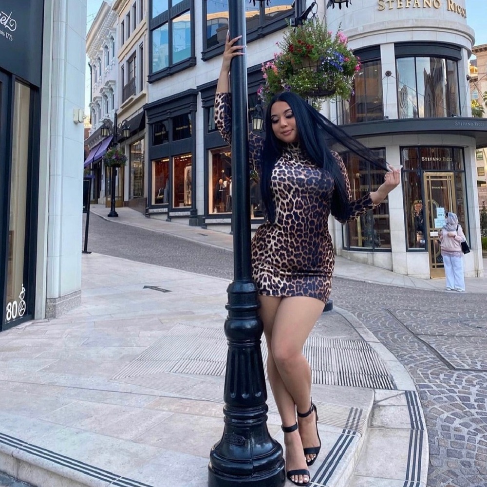 Leopard Print Bodycon Mini Dress - Brown
